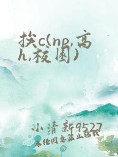 挨c(np,高h,校园)