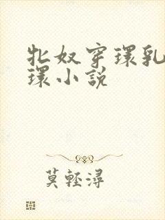 牝奴穿环乳环蒂环小说