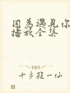 因为遇见你免费播放全集