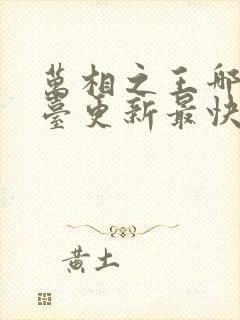 万相之王哪个平台更新最快