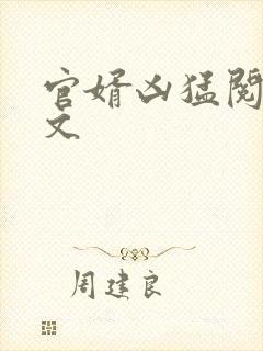 官婿凶猛阅读全文