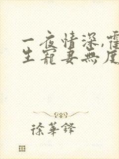 一夜情深,霍先生宠妻无度 小说完整