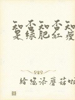 知否知否知否应是绿肥红瘦原著叫什么