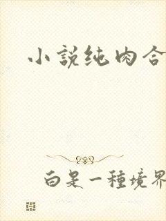 小说纯肉合集