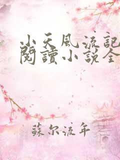 小天风流记免费阅读小说全文
