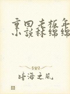 重回老板年少时小说林绵绵