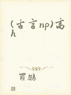 (古言np)高h