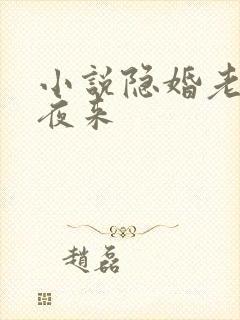 小说隐婚老公深夜来