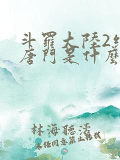 斗罗大陆2绝世唐门是什么
