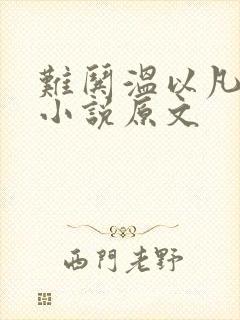 难哄温以凡桑延小说原文