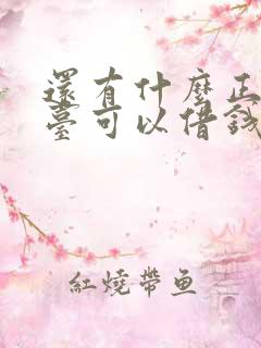 还有什么正规平台可以借钱