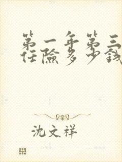 第一年第三者责任险多少钱