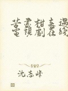 苦尽柑来遇见你电视剧在线免费观看全集