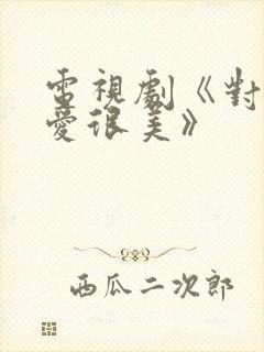 电视剧《对你的爱很美》