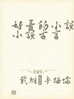 好看的小说言情小说古言