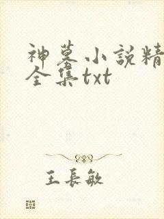 神墓小说精校版全集txt