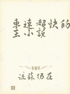 车速超快的双男主小说