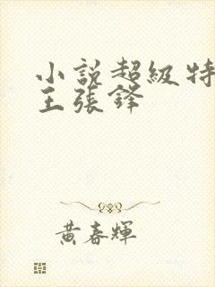 小说超级特战兵王张锋