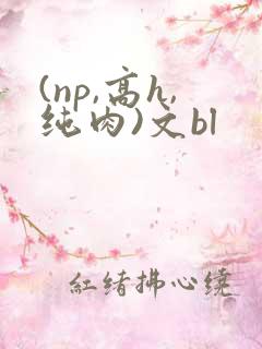 (np,高h,纯肉)文bl