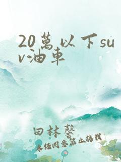 20万以下suv油车