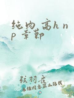 纯肉 高h np 章节