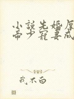 小说先婚厚爱:帝少宠妻成瘾