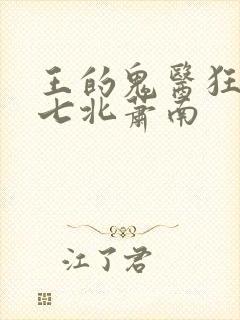 王的鬼医狂妃璃七北萧南