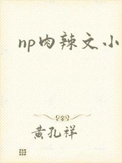 np肉辣文小说