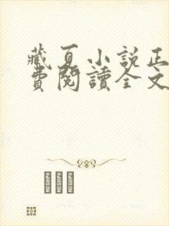 藏夏小说正版免费阅读全文无弹窗