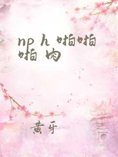 np h 啪啪啪 肉
