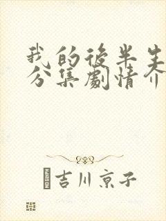 我的后半生剧情分集剧情介绍大结局免费观看