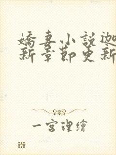 娇妻小说迦南最新章节更新