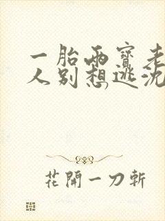 一胎两宝老婆大人别想逃沈蔓歌