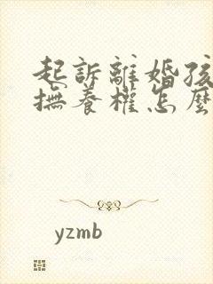 起诉离婚孩子的抚养权怎么判定