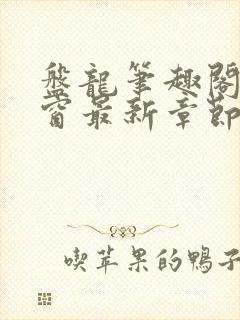 盘龙笔趣阁无弹窗最新章节