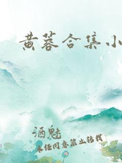 黄蓉合集小说