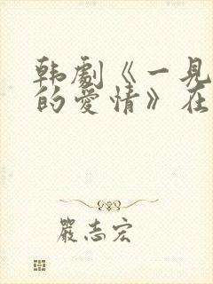 韩剧《一见钟情的爱情》在线观看