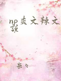np爽文辣文小说