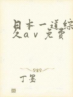 日本一道综合久久aⅴ免费