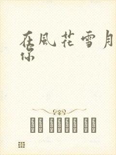 在风花雪月里等你