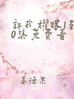 许我耀眼1到40集免费看