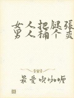 女人把腿张开让男人桶个爽