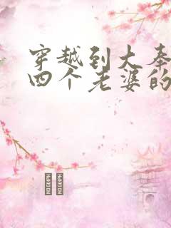 穿越到大奉娶了四个老婆的小说