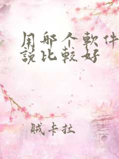 用哪个软件写小说比较好