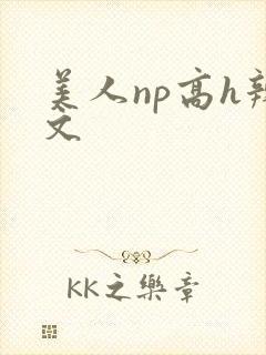 美人np高h辣文