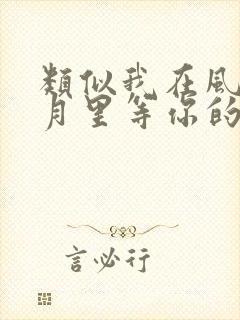 类似我在风花雪月里等你的小说