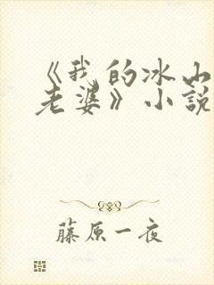 《我的冰山总裁老婆》小说