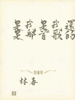 是我是我还是我是哪首歌的歌词