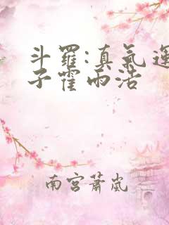 斗罗:真气运之子霍雨浩