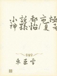 小说都市极品医神孙怡/夏若雪完全版